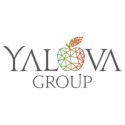 Yalova Group