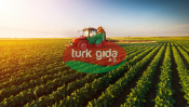 Türk Gıda Grubu