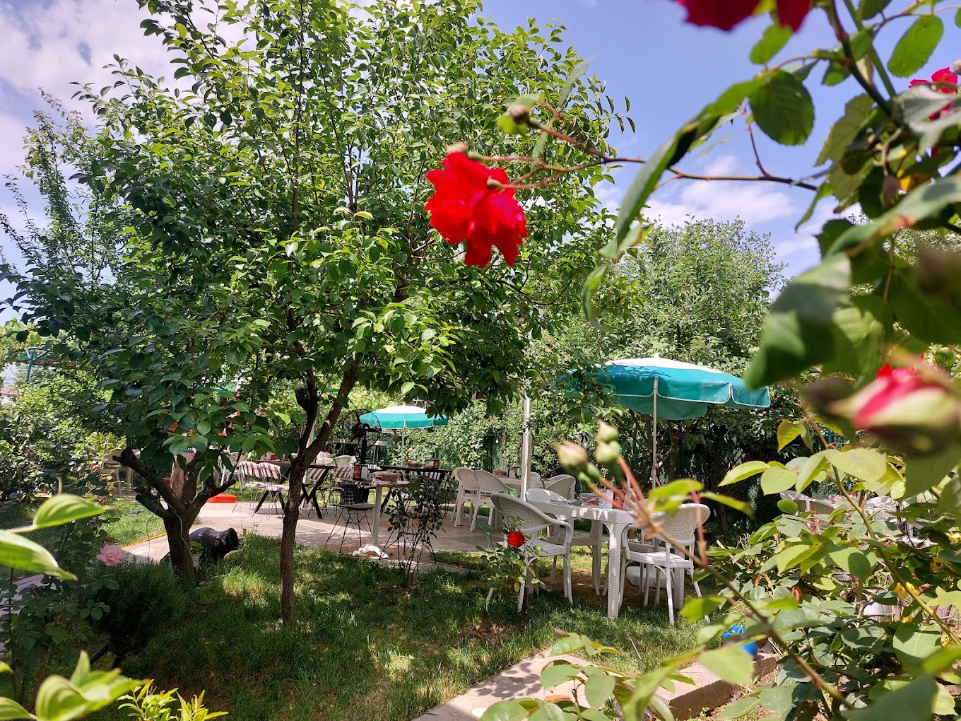 Aisha Cafe & Restaurant